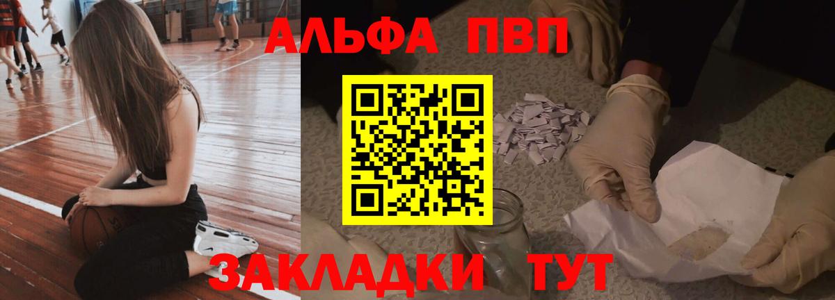 Alfa_PVP СК КРИС Щёкино